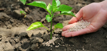 Fertilizantes: como a retomada das fábricas da Petrobras ajuda o agro no médio prazo?