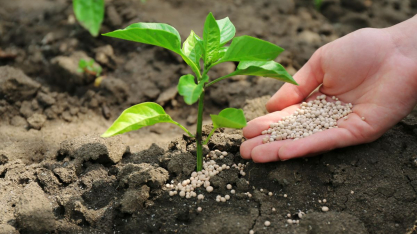 Fertilizantes: como a retomada das fábricas da Petrobras ajuda o agro no médio prazo?
