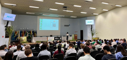 Estudos revelam novos padrões ecológicos e de dispersão do Sphenophorus levis