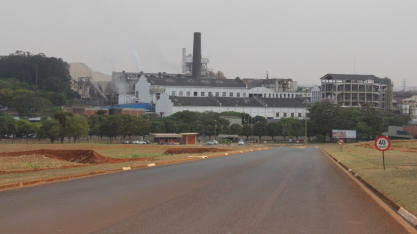 Prêmio do etanol surpreende, diz São Martinho