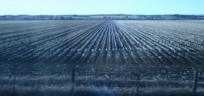 Agronegócio é afetado pelo shutdown mais longo da história dos EUA