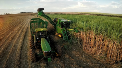 Moagem de cana-de-açúcar atinge 31,11 milhões com encerramento de safra em várias regiões