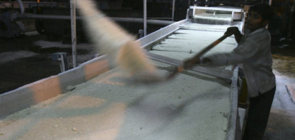 Principal concorrente do Brasil, Índia planeja exportar cota de 1,5 milhão de toneladas de açúcar