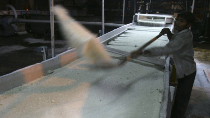 Principal concorrente do Brasil, Índia planeja exportar cota de 1,5 milhão de toneladas de açúcar