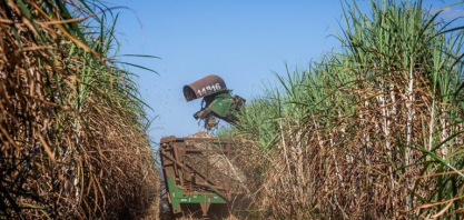 Setor sucroenergético firma acordo pela remuneração da cana