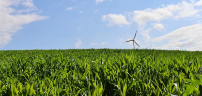 Brasileiros acreditam que economia verde trará novos empregos