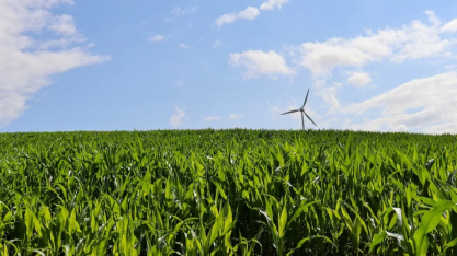 Brasileiros acreditam que economia verde trará novos empregos