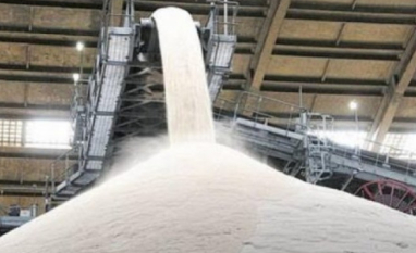 Datagro reduz projeção de excedente global de açúcar para 1 milhão de toneladas por queda na produção do Brasil e da Índia