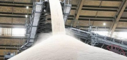 Datagro reduz projeção de excedente global de açúcar para 1 milhão de toneladas por queda na produção do Brasil e da Índia