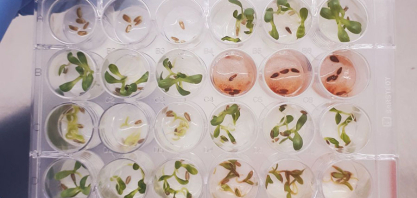 Pesquisadores identificam substância inédita e promissora para o desenvolvimento de novos bioinsumos