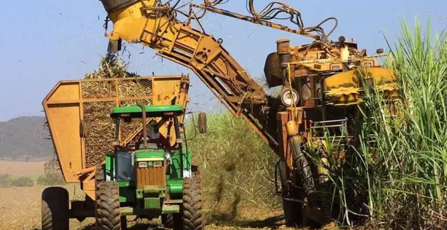 Colheita mecanizada da cana-de-açúcar em usina da região Centro-Sul (Foto: Agência Brasil) 