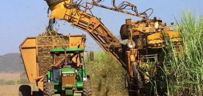 Clima adverso impacta safra de cana-de-açúcar em MS, mas produção segue em alta