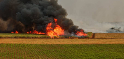 Tudo o que você precisa saber sobre incêndios em canaviais