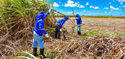 Crise no setor canavieiro do Nordeste chega a patamares preocupantes e entidades de classe clamam por ajuda para superação desse momento