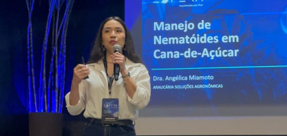 Nematóides: manejo integrado e diagnóstico sustentam produtividade da cana