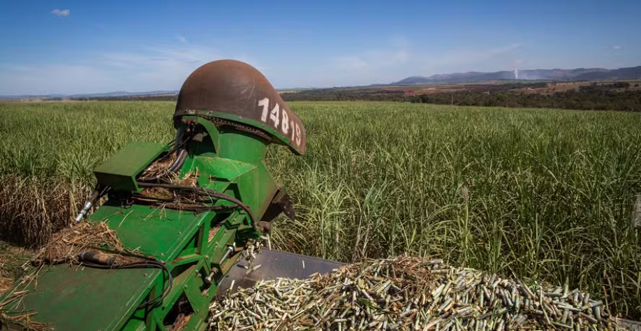 Principais derivados da cana-de-açúcar apresentaram comportamento muito diferente na última semana — Foto: Wenderson Araujo/CNA