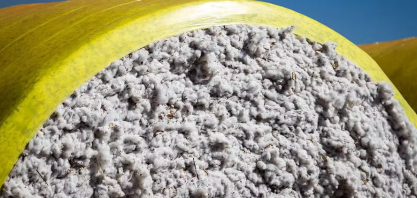 Algodão, etanol de milho e leguminosas de MT terão convênio para promoção de exportações