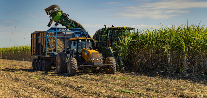 Cana: Jalles Machado encerra moagem da safra 2025/26 com maior área mas menor volume