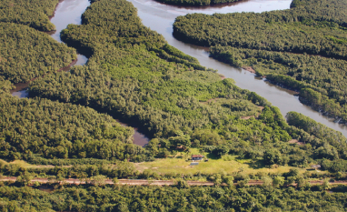 Porto de Santos deixa de arrecadar mais de R$ 40 milhões para estimular práticas verdes em navios e terminais