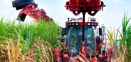 Cana-de-açúcar busca inovação para não perder espaço para o milho