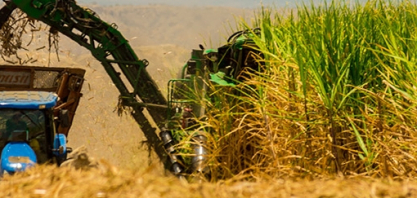 Brazil Sugarcane leva 26 empresas brasileiras para a Argentina