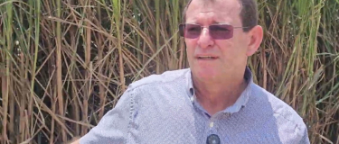 Na Japungu, cana com sete meses e irrigada por gotejo e cana com 11 meses que só recebeu vinhaça