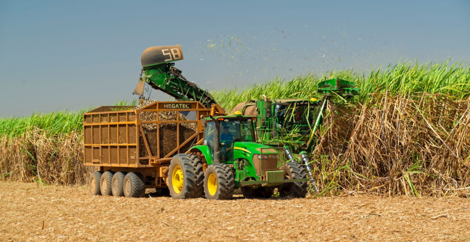 Safra segue com produção de açúcar acima de 326 mil toneladas - Foto: BCCOM Comunicação