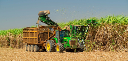 Sindaçúcar-AL: safra segue com produção de açúcar acima de 326 mil toneladas