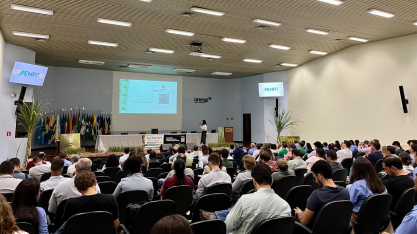 Estudos revelam novos padrões ecológicos e de dispersão do Sphenophorus levis