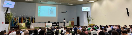 Estudos revelam novos padrões ecológicos e de dispersão do Sphenophorus levis