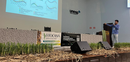 Estudos do CEPENFITO revelam influência climática e avanços no manejo integrado do Sphenophorus levis