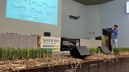 Estudos do CEPENFITO revelam influência climática e avanços no manejo integrado do Sphenophorus levis