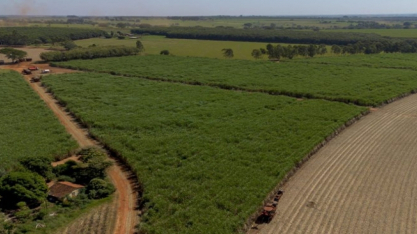 Tereos intensifica uso de insumos biológicos nos canaviais e apresenta ganhos de produtividade