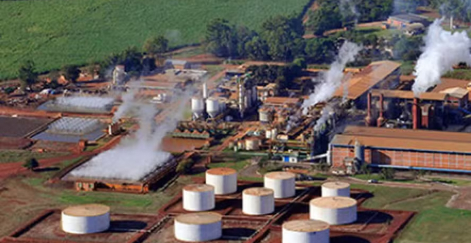 Usina Jalles Machado, em Goianésia (GO) — Foto: Divulgação/Jalles Machado