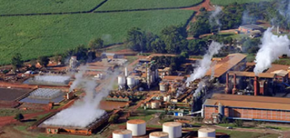 Jalles contrata R$ 200 milhões com BNDES para amenizar efeitos do tarifaço sobre açúcar orgânico