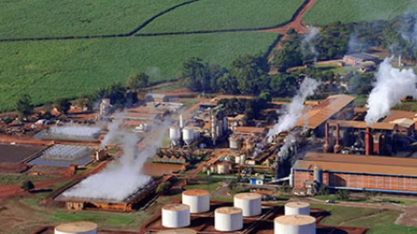 Jalles contrata R$ 200 milhões com BNDES para amenizar efeitos do tarifaço sobre açúcar orgânico