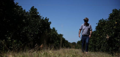 Recuperação judicial no agro salta 150% e crédito fica mais seletivo