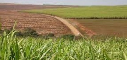 Faltando um mês para fim do ciclo do RenovaBio, 50% dos CBios foram aposentados