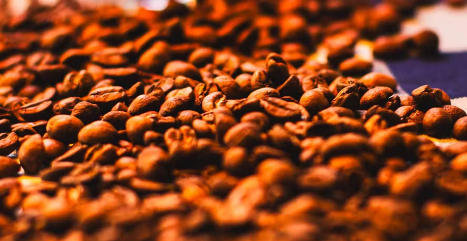 As cotações do café seguem voláteis — Foto: Wenderson Araújo/CNA