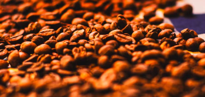 Café oscila e cacau mantém queda na bolsa de Nova York; açúcar registra baixa 