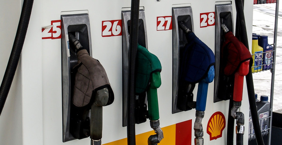 Foto: Reprodução Adobe Stock