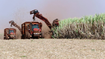 Produtividade da cana do centro-sul acumula queda de 4,9% na safra 25/26, diz CTC