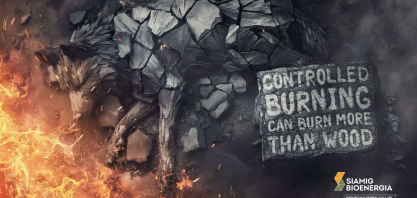 Campanha da SIAMIG Bioenergia e ONG IMPAR é reconhecida pela publicação internacional Lürzer’s Archive