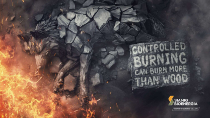 Campanha da SIAMIG Bioenergia e ONG IMPAR é reconhecida pela publicação internacional Lürzer’s Archive