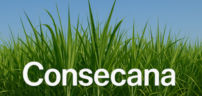 FGV reforça governança e solicita liberação para publicar estudo do Consecana SP