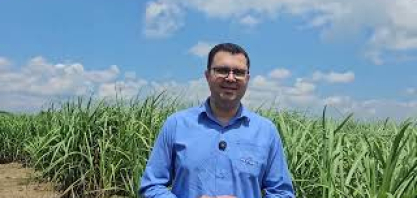 Em comemoração aos 300 anos da Petribu, está em desenvolvimento a variedade de cana IAC Petribu 300