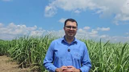 Em comemoração aos 300 anos da Petribu, está em desenvolvimento a variedade de cana IAC Petribu 300