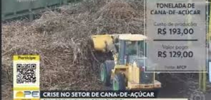 Crise no setor de cana-de-açúcar preocupa produtores em Pernambuco