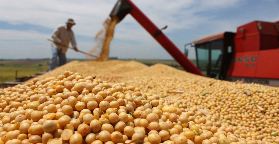 Foto: Divulgação Abiove