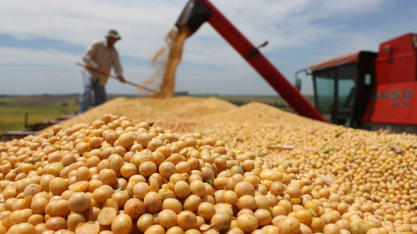 PIB do agro crescerá 1% em 2026 com maior uso de capital próprio pelo produtor, diz CNA